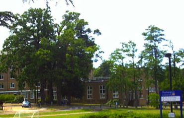 Stacks Image 8
